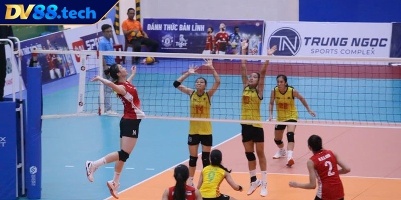 Trải nghiệm cá cược bóng chuyền