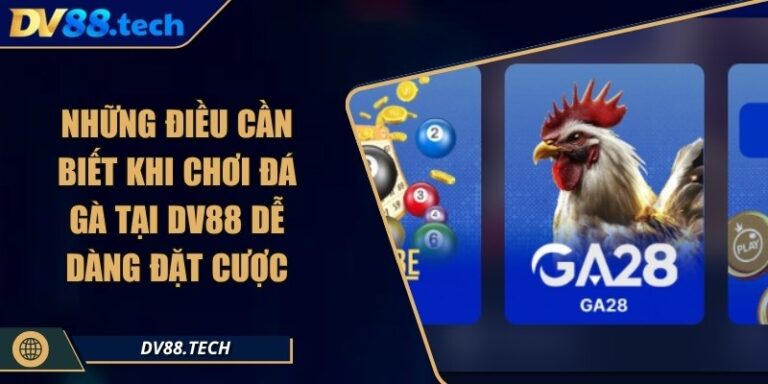 Những Điều Cần Biết Khi Chơi Đá Gà Tại DV88 Dễ Dàng Đặt Cược