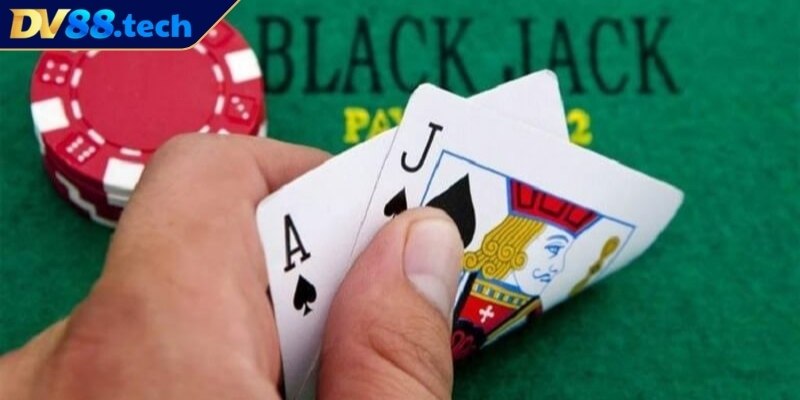 Quan sát kỹ lá ngửa