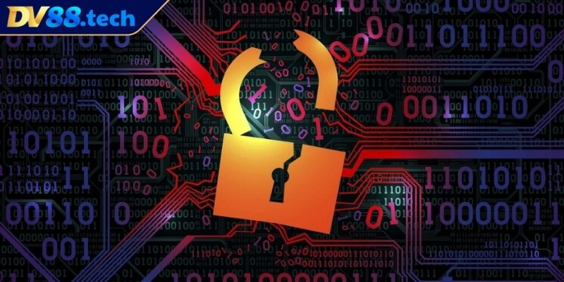 Mất kết nối khi đặt cược